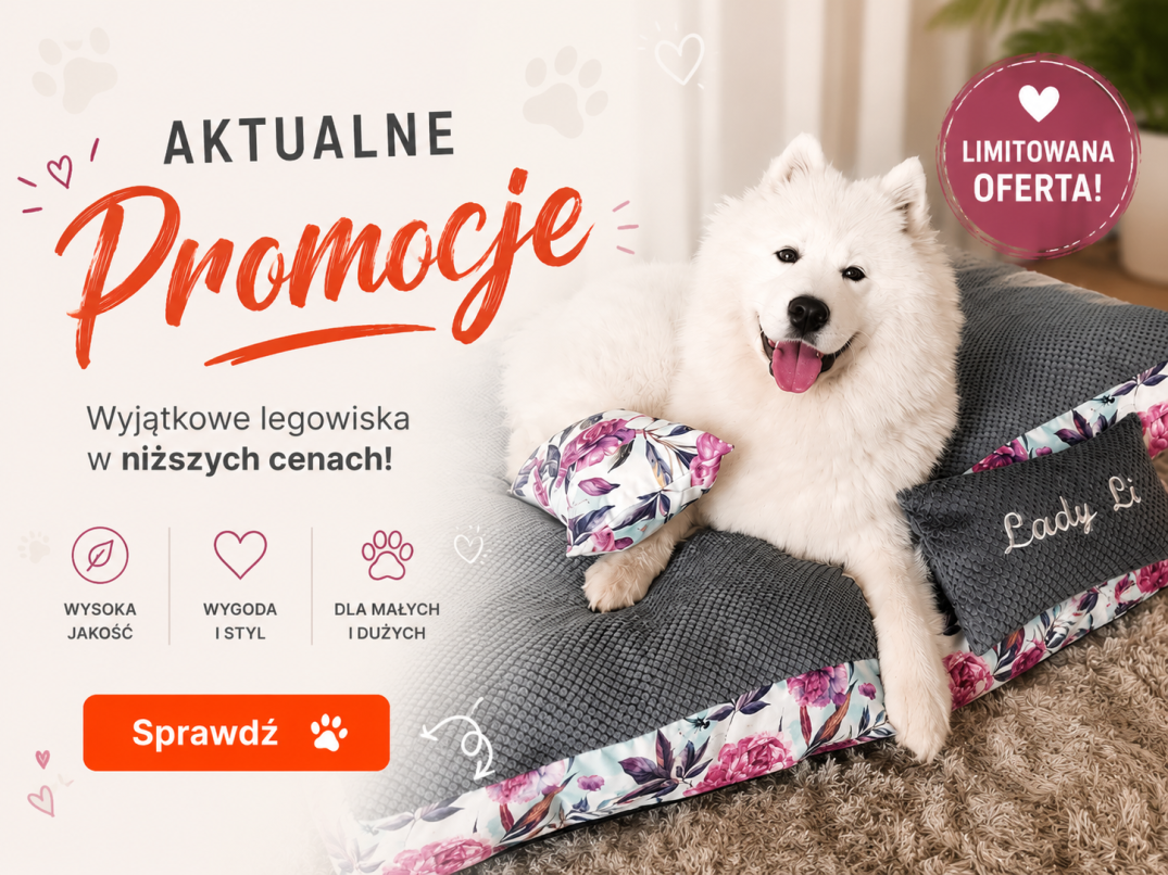 promocje